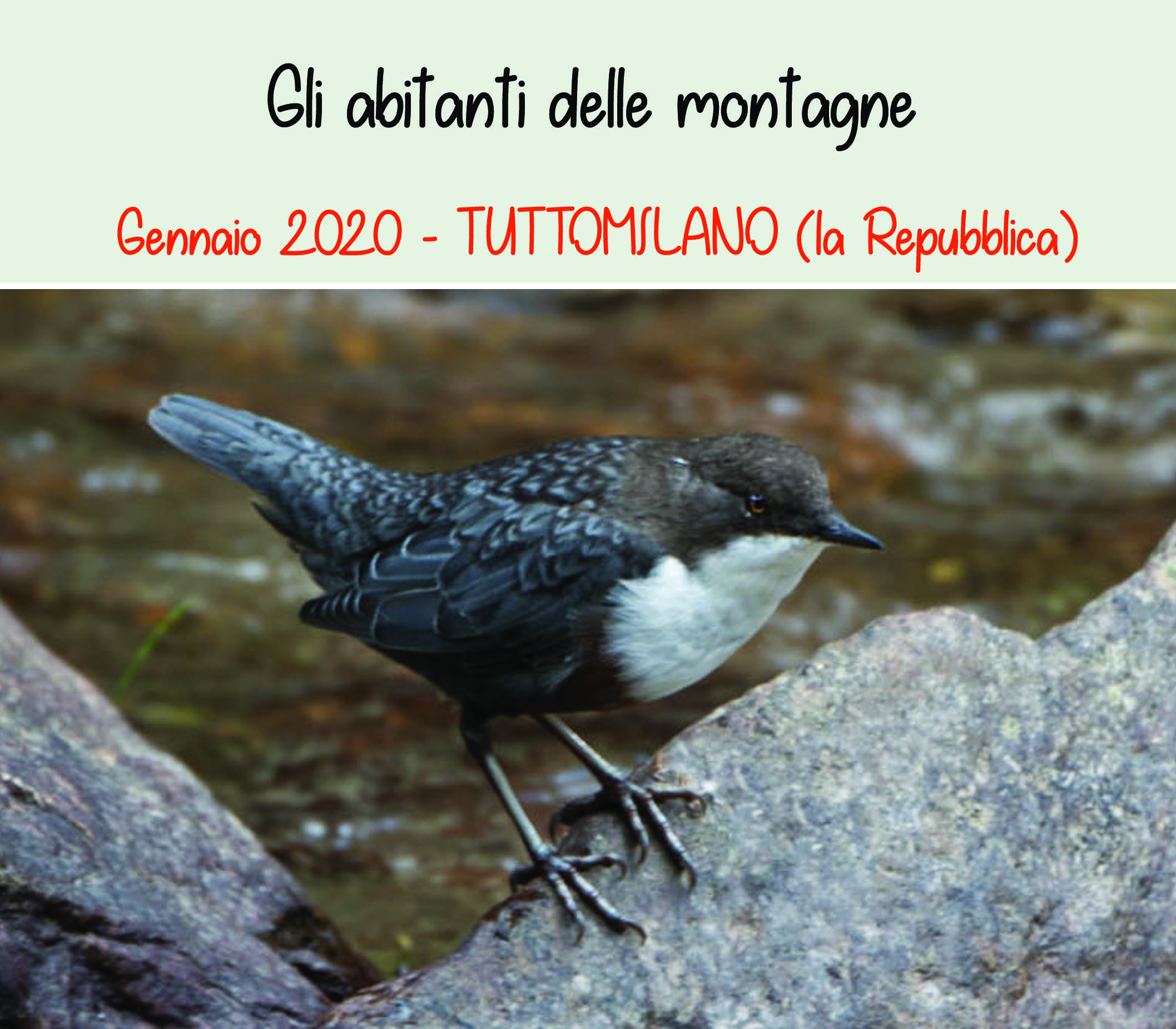 clicca qui